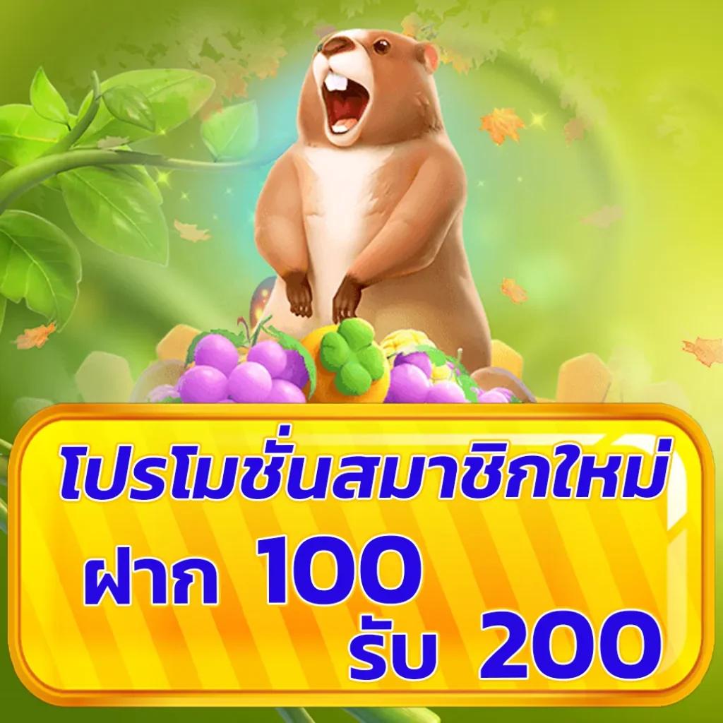 betflix racha คาสิโนสุดฮิต โบนัสแสนคุ้มเดิมพันง่ายได้เงินจริง