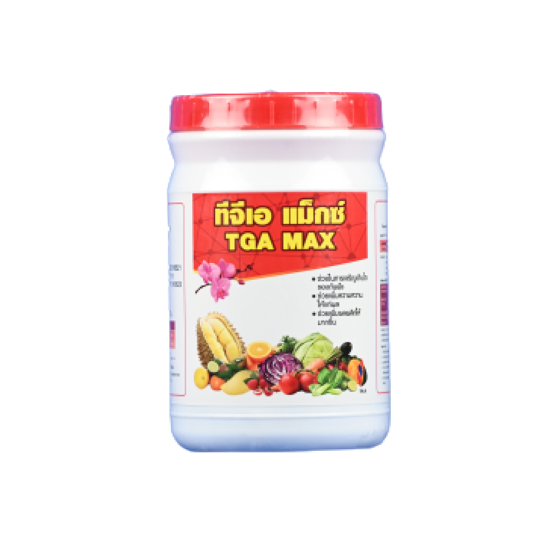 g2gbet 555 คาสิโนออนไลน์ใหม่ ระบบฝากถอนรวดเร็วทันใจ