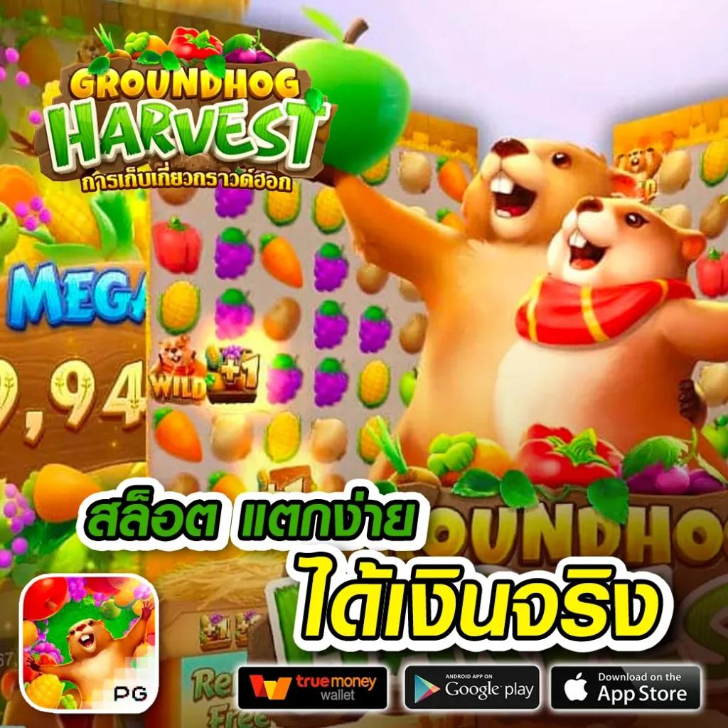 waspbet แพลตฟอร์มคาสิโนออนไลน์ครบวงจรเชื่อถือได้สูง